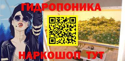 молекула духа Лесосибирск