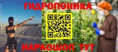 молекула духа Лесосибирск