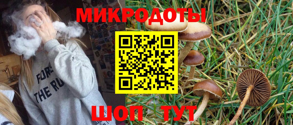 Псилоцибиновые грибы Psilocybine cubensis  Вход с VPN  Югорск  что такое   Галлюциногенные грибы Psilocybine cubensis 